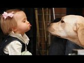 How dogs adore babies!