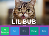 Yo Tries To Make Itself Useful With Photo And Link Alerts From 150 Sources
