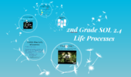 2nd Grade SOL 2.4 Life Processes