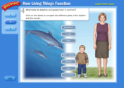 How Living Things Function