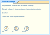 Senses Challenge