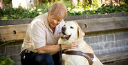 Dogs - "Guiding Eyes" for Visually Impaired Video | Just 4 Pet Care