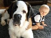 18 Cute Kids with their Big Dogs