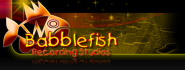 Babblefish Recording Studios