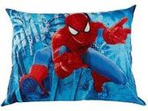Spiderman Bedrooms on Pinterest