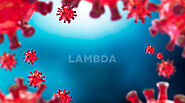 Lambda — The Latest COVID Variant: All you Need To Know · HealthKart