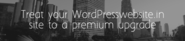 Wordpress Website Design and Development Company in Gurgaon - WordpressWebsite