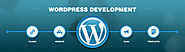 Website Design and Ecommerce Development: Web Development Services in India
