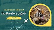 What are some of the challenges of going on a Ranthambore safari? | Eye Of The Tiger