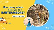 How many safaris should you do in Ranthambore? | Eye Of The Tiger