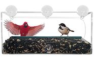 Grateful Gnome - Long Window Bird Feeder - Clear Acrylic House for Small or Large Wild Bird Like Finch and Cardinal -...