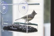 Clear Window-mounted Bird Feeder with Removable Tray for Easy Refill and Cleaning by Yardiculture