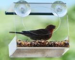 Window Bird Feeder, Squirrel Proof - See Through Bird Feeder Lets You Watch Wild Birds From Inside Your Home