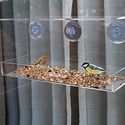 PetsN'all Clear Window Family Diner, Four-Bird Capacity Small Bird Feeder