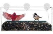 Best Window Mounted Bird Feeder - Window Bird Feeders with Suction Cups Reviews