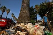 Report calls for big changes in the way Los Angeles tackles trash