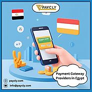 Payment Gateway Providers in Egypt