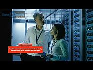 Things You Must Know About Security Guard Services | Signal 88 Security