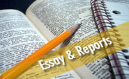 Thesis work india | Project assistance | Essay & Reports