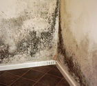 Damp Condensation and Mould - New Study Results