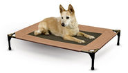 The 10 Best Pet Beds Cute for Dogs and Cats