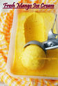 Homemade Fresh Mango Ice Cream