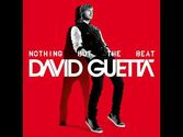 Paris David Guetta ( New Song 2011 )