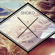 Family Of The Year - Hero (Shoko Remix) by SHOKO