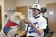 The healing power of pets: Research, experience speak to benefits of animal-assisted therapy