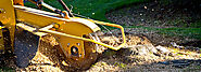 Stump Removal vs Stump Grinding