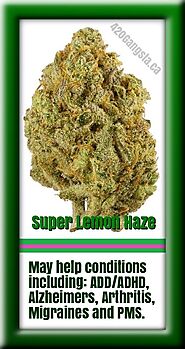 #3 Cannabis Strain For Energy - Super Lemon Haze