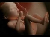 The Miracle of Life - from conception to birth (Hans Zimmer mixing musics)