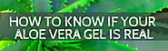 How To Know If Your Aloe Vera Gel Is Real - Amara Beauty