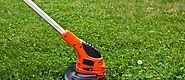 List of Essential Tools for Quick Spring Yard Cleanup 