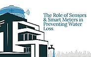 The Role of Sensors and Smart Meters in Preventing Water Loss | Zupyak