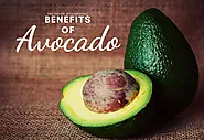 Healthful Benefits of Avocado - Should Take On Regular Basis