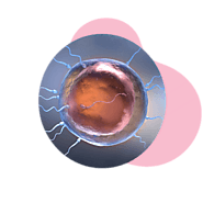 IVF Cost in Ahmedabad | IVF Treatment Price in Gujarat, India: Sneh IVF