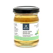 100% Natural Aloe Vera Hair Oil – Qtrove