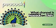 What Channel Is Peacock On Dish? (Answered)