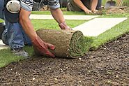 Sod installation St. Albert