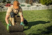 Landscape Contractor Edmonton