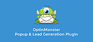OptinMonster - Convert Visitors into Subscribers