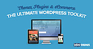 WooThemes 35% OFF (11/27) - Premium WordPress Themes & Plugins