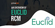 An Overview of Euclid RCM Software
