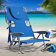 Ostrich On Your Back Chair