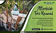 tree trimming Temecula| palm tree trimming Temecula | tree removal Temecula | tree service Temecula | elm tree care |...