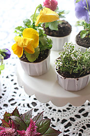Cupcake Flower Pots | A Joyful Riot