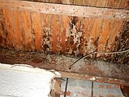 OXIDIZING AGENTS FOR MOLD REMOVAL