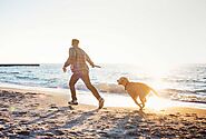 Find inspiration til din næste ferie med hele familien inklusiv hunden