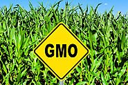 The Organic & Non-GMO Report | Non-gmo food supply news articles and non-gmo resources for food safety, health and su...